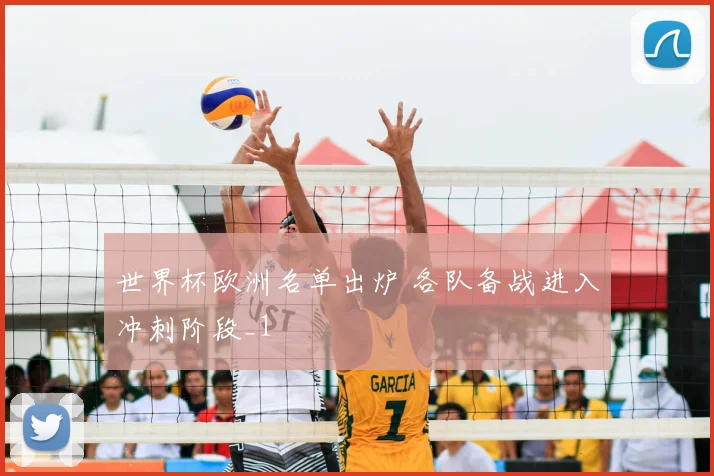 世界杯欧洲名单出炉 各队备战进入冲刺阶段_1