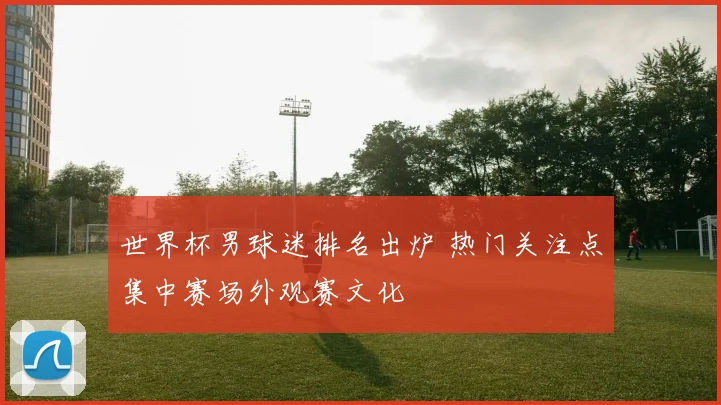 世界杯男球迷排名出炉 热门关注点集中赛场外观赛文化